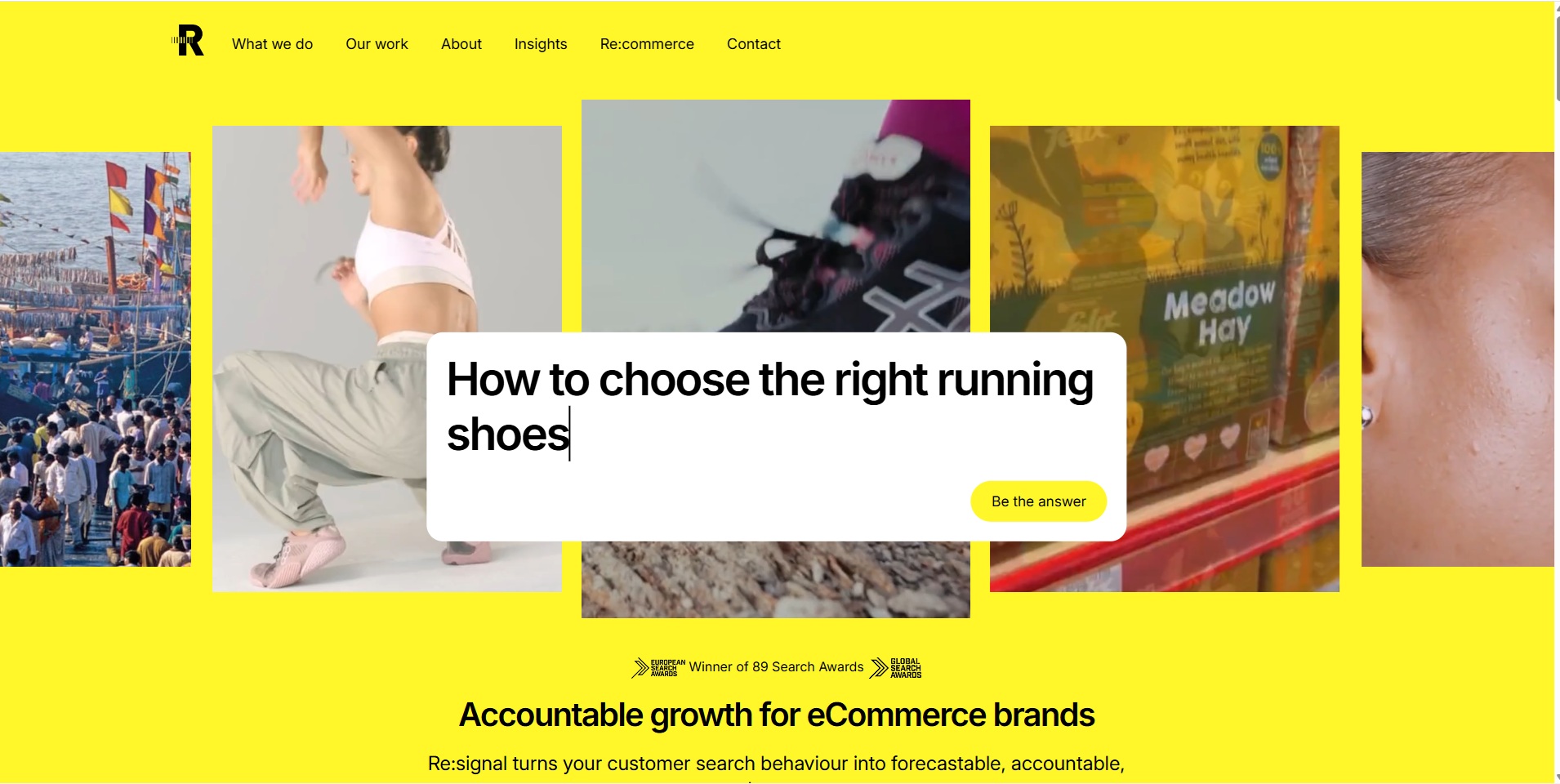 Re:signal homepage focused on ecommerce search growth